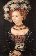 CRANACH, Lucas the Elder Portrait of a Young Woman dfg oil